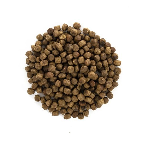 Brit Care Grain Free Kitten Health Growth & Development сухой корм для котят с курицей и индейкой 171278/0679 фото