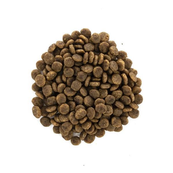 Brit Care Cat GF Sensitive Health Digestion & Delicate Taste сухой корм для кошек с чувствительным пищеварением с индейкой и лососем 171282/0709 фото