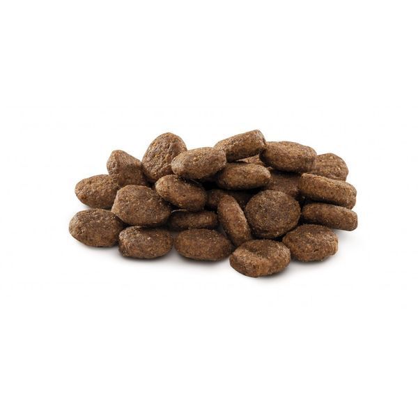 Brit Premium Dog Junior L сухой корм для щенков больших пород с курицей 170823/6420 фото