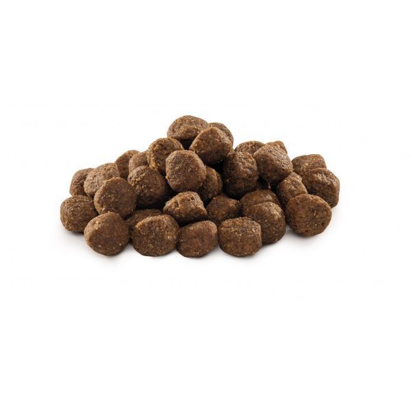 Brit Premium Dog Junior M сухой корм для щенков средних пород с курицей 170813/6321 фото