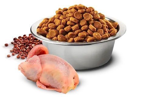 Farmina N&D Quinoa сухой беззерновой корм для мини пород собак для кожи и шерсти с перепелом 168047 фото