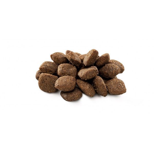 Brit Premium Dog Sensitive сухой корм для собак с чувствительным пищеварением с ягненком и рисом 170843/6628 фото