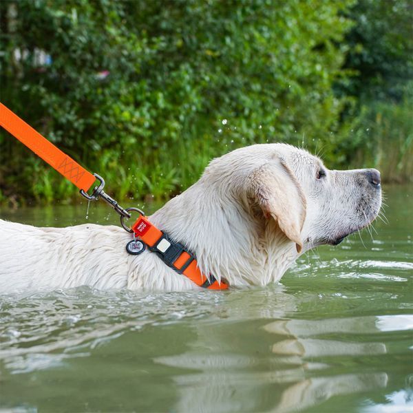 Ошейник для собак WAUDOG Waterproof водостойкий пластиковая пряжка оранжевый 25114 фото