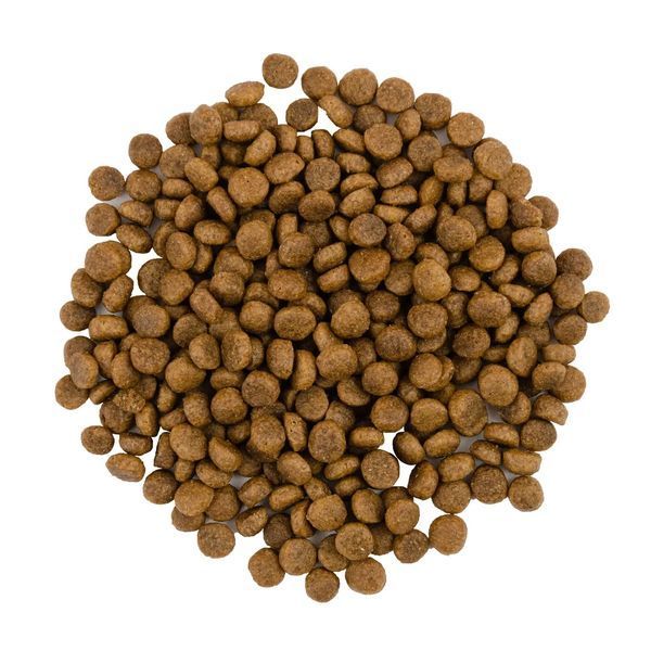Savory Adult Gourmand сухой корм для привередливых кошек с индейкой и уткой 30068 фото