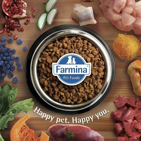 Farmina N&D Ancestral Grain сухий низькозерновий корм для цуценят дрібних порід з ягням 156378 фото