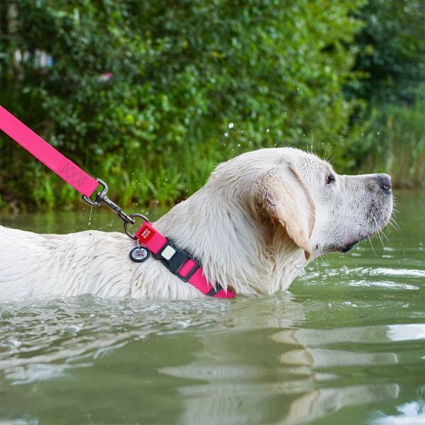 Ошейник для собак WAUDOG Waterproof водостойкий пластиковая пряжка розовый 25117 фото