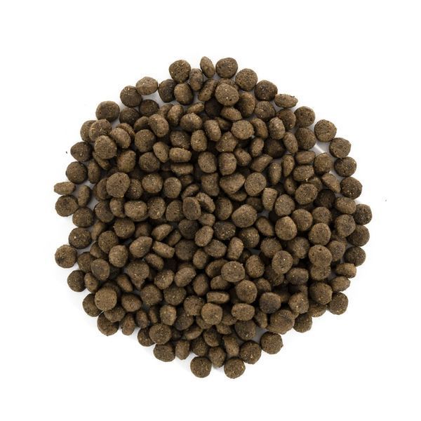 Brit Care Grain Free Mini Light&Sterilised сухой корм для стерилизованных собак мини пород с кроликом и лососем 170785/1067 фото
