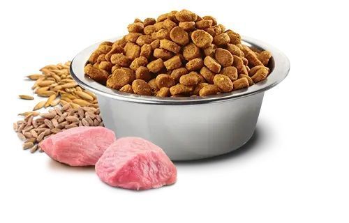 Farmina N&D Ancestral Grain сухой низкозерновой корм для кошек с курицей 156432 фото